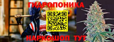 spice Кимры