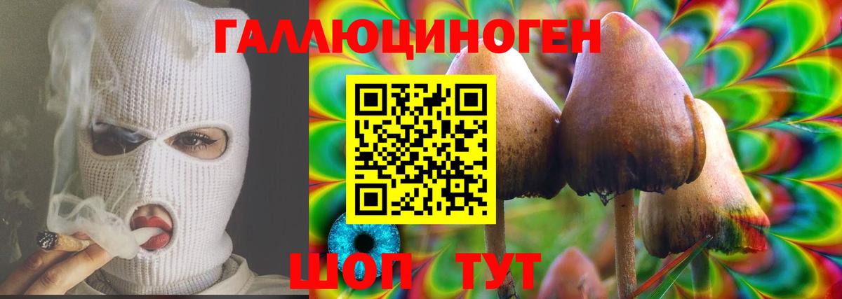 Псилоцибиновые грибы MAGIC MUSHROOMS  Галлюциногенные грибы мицелий  Щёкино  Вход с VPN 