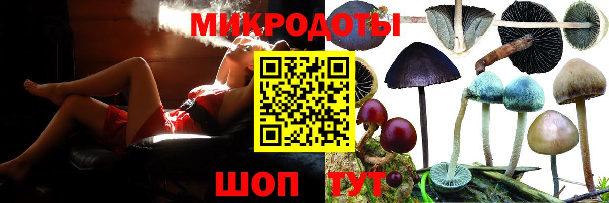 Псилоцибиновые грибы ЛСД Щёкино